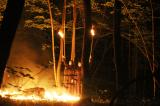 Macbeth en foret 2 * 5184 x 3456 * (8.74MB)